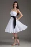 Fashion Strapless Knee Length Chiffon Bridesmaids Dresses