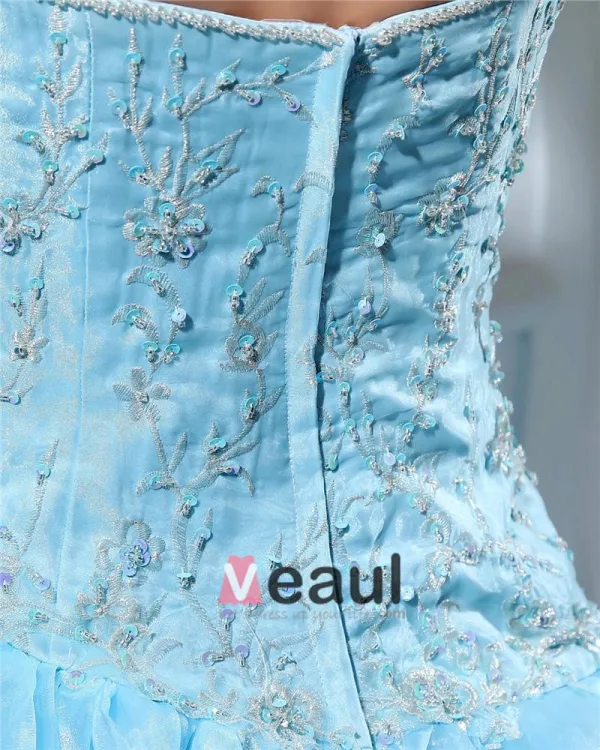 Ball Gown Sweetheart Sleeveless Chapel Train Organza Beading Womens Quinceanera Prom Dresses