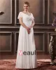 V Neck Sweep Plus Size Bridal Gown Wedding Dress