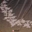 Super Long Tailing White Lace Veil Soft Yarn Material
