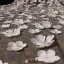 175 cm Longue Queue Fleurs A La Main Voile De Dentelle Materiau De Fil Souple