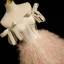 Charmant Champagne Paillettes Gland Robe De Bal 2023 Robe Boule De l'épaule Sans Manches Dos Nu Noeud Longue Promo Robe De Ceremonie