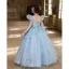 Flower Fairy Sky Blue Appliques Pearl Sequins Birthday Flower Girl Dresses 2025 Ball Gown Scoop Neck Cap Sleeves Backless Floor-Length / Long