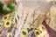 Flower Fairy Multi-Colors Lace Flower Appliques Birthday Flower Girl Dresses 2025 Ball Gown High Neck Short Sleeve Backless Floor-Length / Long Tulle