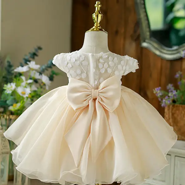 Chic / Beautiful Beige Appliques Birthday Flower Girl Dresses 2022 Ball Gown Scoop Neck Short Sleeve Bow Short Flower Girl Dresses