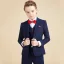 Fashion Navy Blue Plaid Long Sleeve Boys Wedding Suits 2023 6-piece Coat Pants Shirt Tie Vest Wedding