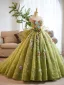Flower Fairy Sage Green Multi-Colors Appliques Prom Dresses 2025 Ball Gown Strapless Sleeveless Backless Sweep Train Formal Dresses