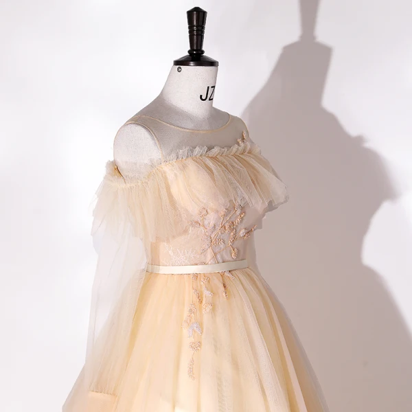 Chic / Beautiful Champagne Beading Lace Flower Prom Dresses 2022 A-Line / Princess Scoop Neck Long Sleeve Backless Sash Floor-Length / Long Prom Formal Dresses
