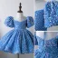 Sparkly Pool Blue Sequins Prom Flower Girl Dresses 2022 Ball Gown Scoop Neck Short Sleeve Short Flower Girl Dresses