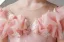 Chic / Beautiful Blushing Pink Lace Butterfly Sequins Birthday Flower Girl Dresses 2024 Ball Gown Scoop Neck Short Sleeve Floor-Length / Long Tulle