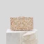 Mode Champagne Percé Faux Diamant Paillettes Métal Soirée Pochette 2022