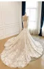 Luxury / Gorgeous Champagne Handmade  Sequins Lace Flower Chapel Train Wedding Dresses 2026 Trumpet / Mermaid V-Neck Long Sleeve