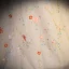 Fée Des Fleurs Jonquille Paillettes Fleur Robe De Bal 2023 Princesse Encolure Carrée Manches Courtes Dos Nu Longue Robe De Ceremonie