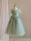 Chic / Beautiful Sage Green Lace Flower Birthday Flower Girl Dresses 2024 A-Line / Princess V-Neck Short Sleeve Backless Floor-Length / Long Tulle