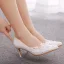 Elegant White Lace Flower Wedding Shoes 2022 Pearl Rhinestone 7 cm Stiletto Heels Pointed Toe Wedding Pumps High Heels