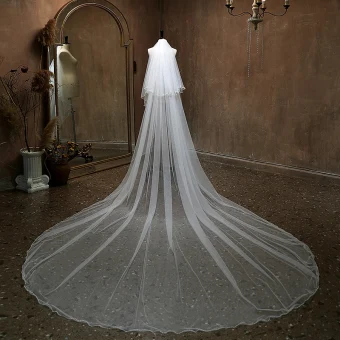 Vintage Retro White Wedding Veils 3 M Tulle Chapel Train 2024