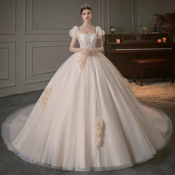 Audrey Hepburn Style Champagne Pearl Lace Flower Appliques Wedding Dresses 2022 Ball Gown Square Neckline Short Sleeve Backless Royal Train Wedding