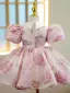 Lovely Blushing Pink Flower Short Birthday Flower Girl Dresses 2022 Ball Gown Scoop Neck Puffy Short Sleeve Beading Flower Girl Dresses