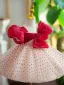 Chic / Beautiful Burgundy Spotted Bow Short Flower Girl Dresses 2023 Ball Gown Birthday Square Neckline Puffy Short Sleeve