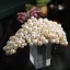 Vintage / Retro Beige Braid Pearl Bridal Hair Accessories 2023 Alloy Wedding Tiara