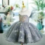 Bling Bling Grey Beading Sequins Lace Flower Short Flower Girl Dresses 2024 Ball Gown Birthday Strapless Sleeveless Tulle