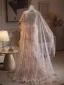 Flower Fairy Multi-Colors Beading Sequins Lace Flower Prom Dresses 2025 With Shawl Trumpet / Mermaid Strapless Sleeveless Backless Sweep Train Formal Dresses