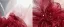 High-end Burgundy Beading Appliques Prom Dresses 2024 A-Line / Princess Strapless Sleeveless Backless Floor-Length / Long Prom Formal Dresses