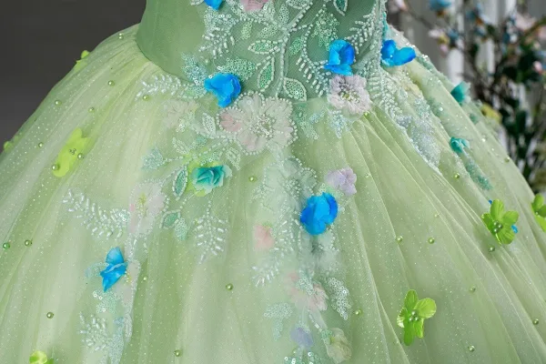 Fée Des Fleurs Vert Cendré Appliques Perlage Robe De Bal 2026 Robe Boule Encolure Dégagée Sans Manches Dos Nu Longue Robe De Ceremonie