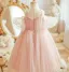 Flower Fairy Blushing Pink Appliques Birthday Flower Girl Dresses 2024 Ball Gown Spaghetti Straps Short Sleeve Backless Floor-Length / Long Tulle