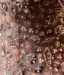 High-end Grey Beading Pearl Sequins Cascading Ruffles Prom Dresses 2024 Ball Gown Spaghetti Straps Sleeveless Backless Floor-Length / Long Prom Formal Dresses