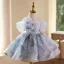 Chic / Beautiful Sky Blue Beading Appliques Sequins Birthday Short Flower Girl Dresses 2025 Ball Gown Scoop Neck Puffy Short Sleeve Flower Girl Dresses