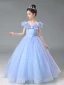 Cinderella Sky Blue Lace Butterfly Star Sequins Flower Girl Dresses 2024 Ball Gown Birthday Scoop Neck Short Sleeve Floor-Length / Long