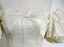 Elegant Champagne Satin Prom Dresses 2024 Ball Gown Off-The-Shoulder Short Sleeve Backless Floor-Length / Long Prom Formal Dresses