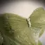 Charming Sage Green Beading Pearl Sequins Prom Dresses 2022 A-Line / Princess Off-The-Shoulder Short Sleeve Backless Prom Floor-Length / Long Formal Dresses