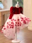 Chic / Belle Bordeaux Appliques Asymétrique Anniversaire Robe Ceremonie Fille 2025 Robe Boule Col Haut Gonflée Manches Longues