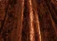 Sexy Brown Sequins Velvet Evening Dresses 2024 Trumpet / Mermaid Strapless Bow Sleeveless Backless Floor-Length / Long Evening Party Formal Dresses