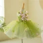 Flower Fairy Sage Green Appliques Birthday Short Flower Girl Dresses Ball Gown 2023 V-Neck Sleeveless Flower Girl Dresses