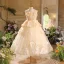 Chic / Beautiful Champagne Appliques Birthday Flower Girl Dresses 2025 Ball Gown Scoop Neck Sleeveless Backless Tea-length Tulle