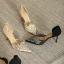 Chic / Beautiful Gold Rhinestone Wedding Shoes 2022 7 cm Stiletto Heels Pointed Toe Wedding Womens Shoes High Heels
