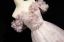 Élégant Rougissant Rose Appliques Paillettes Robe De Bal 2024 Princesse De l'épaule Manches Courtes Dos Nu Longue Promo Robe De Ceremonie