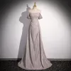 Modest / Simple Grey Sequins Ruffle Evening Dresses 2024 A-Line / Princess Off-The-Shoulder Short Sleeve Sweep Train Backless Evening Party Formal Dresses