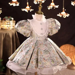 Vintage Retro Multi Colors Embroidered Short Flower Girl Dresses 2022 Ball Gown Ruffle High Neck Rhinestone Puffy Short Sleeve Prom Flower Girl Dresses