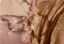 Fashion Blushing Pink Beading Prom Dresses 2024 Ball Gown Off-The-Shoulder Sleeveless Backless Floor-Length / Long Prom Formal Dresses