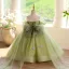 Flower Fairy Sage Green Multi-Colors Appliques Birthday Flower Girl Dresses 2025 Ball Gown Off-The-Shoulder Short Sleeve Backless Floor-Length / Long