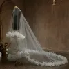 Vintage / Retro White Lace Wedding Veils 2024 3 m Tulle Chapel Train