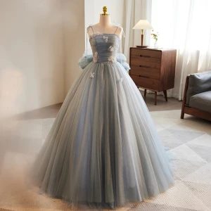 Chic Beautiful Grey Appliques Prom Dresses 2023 A Line Princess Spaghetti Straps Sleeveless Backless Bow Floor Length Long Formal Dresses