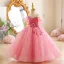 Chic / Beautiful Blushing Pink Butterfly Appliques Birthday Flower Girl Dresses 2025 Ball Gown Scoop Neck Short Sleeve Backless Floor-Length / Long