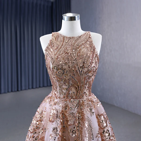 best and worst dressed golden globes 2019 Sparkly prom dress from Zazabella