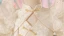 Style Chinois Blanche Volants en Cascade Anniversaire Robe Ceremonie Fille 2024 Robe Boule Col Haut Gonflée Manches Courtes Dos Nu Longue