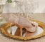 Charming Champagne Beading Lace Flower Pearl Sequins Leather Wedding Shoes 2023 8 cm Stiletto Heels Pointed Toe Wedding Pumps High Heels